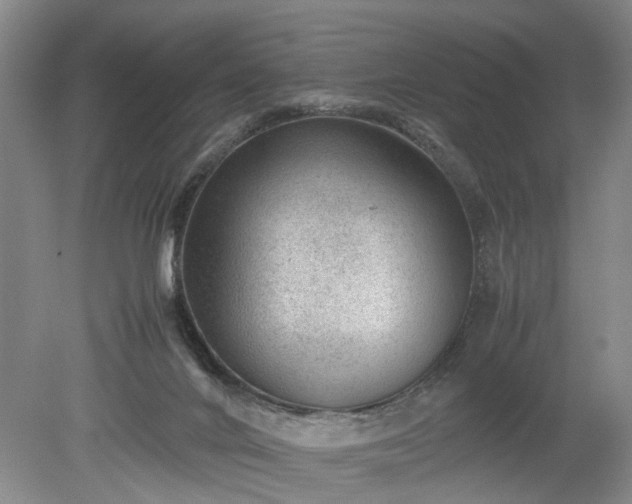 X0000078880024200611201422