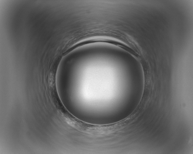 X0000078880025200611201422