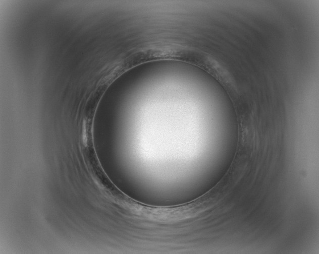 X0000078880026200611201422