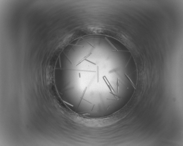 X0000078880030200611201422