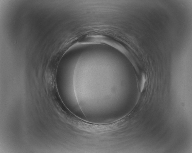 X0000078880031200611201422