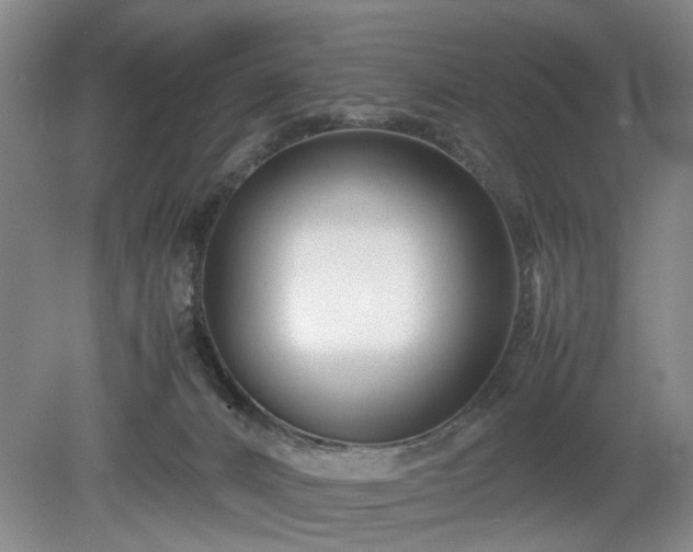 X0000078880032200611201422