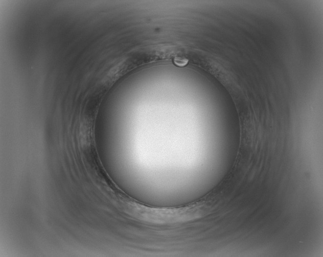 X0000078880034200611201422
