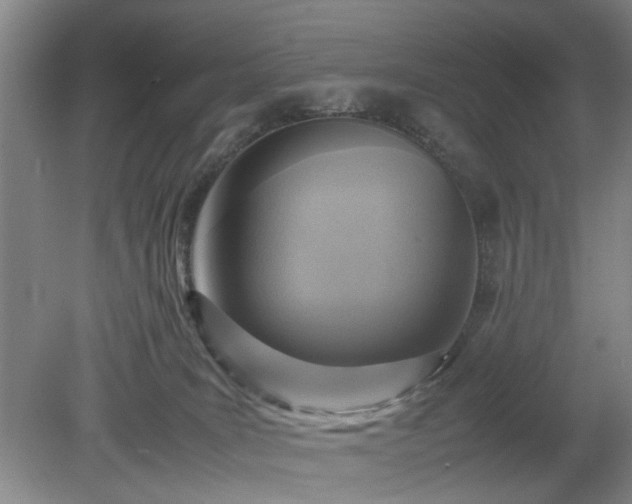X0000078880035200611201422