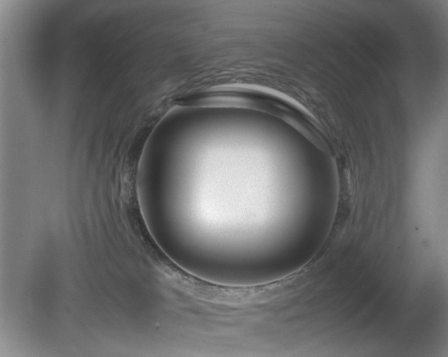 X0000078880037200611201422