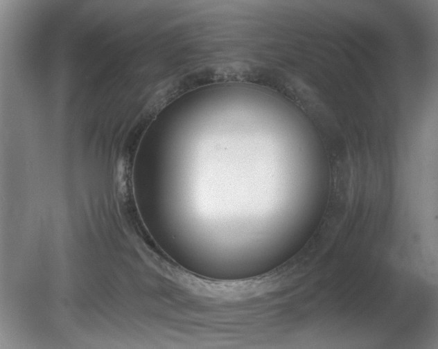 X0000078880038200611201422
