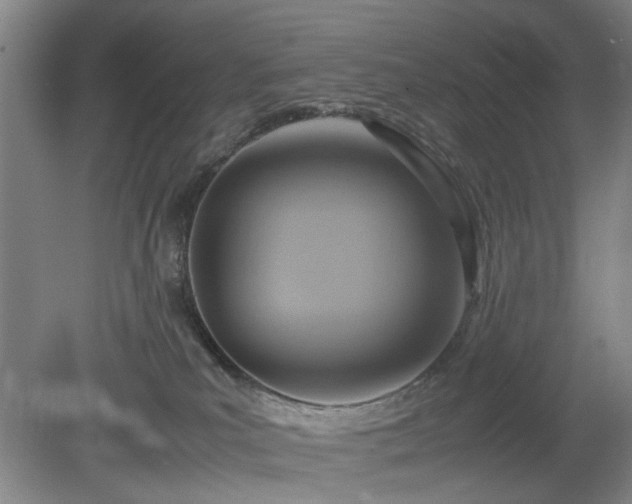 X0000078880039200611201422