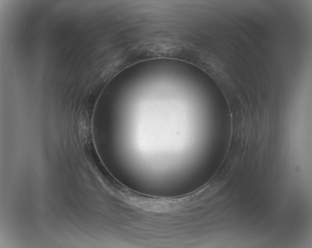 X0000078880040200611201422