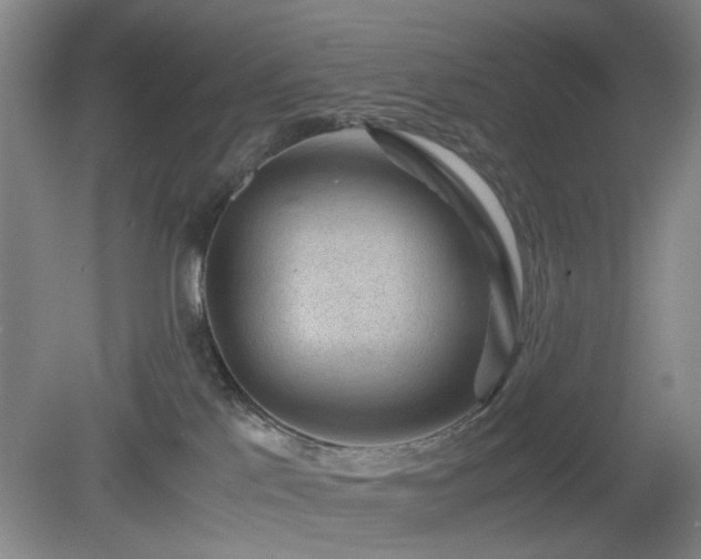 X0000078880041200611201422