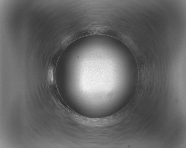 X0000078880042200611201422