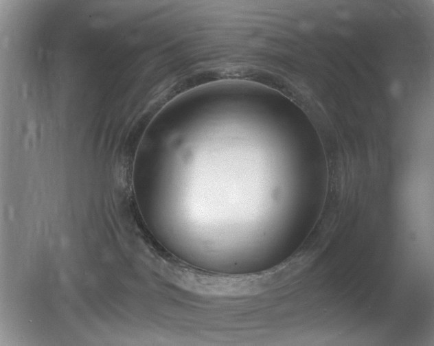 X0000078880044200611201422