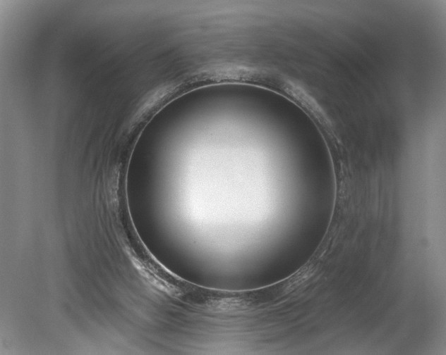 X0000078880058200611201421