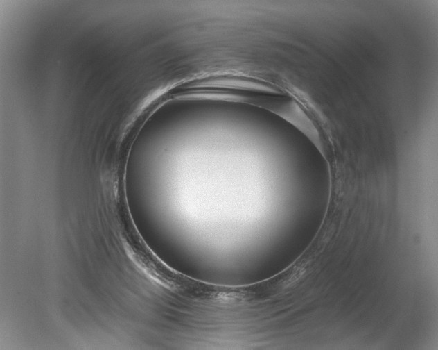 X0000078880060200611201421