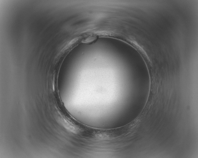 X0000078880062200611201421