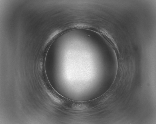X0000078880063200611201421