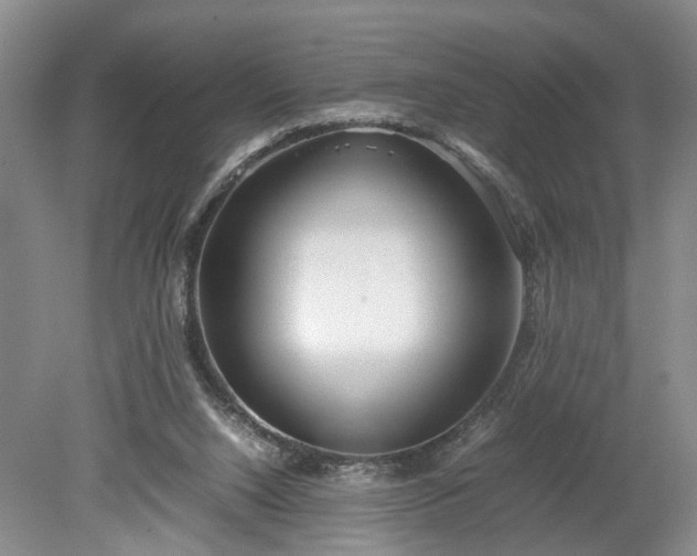 X0000078880064200611201421