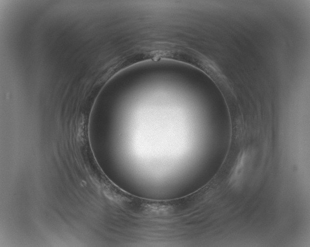 X0000078880073200611201421