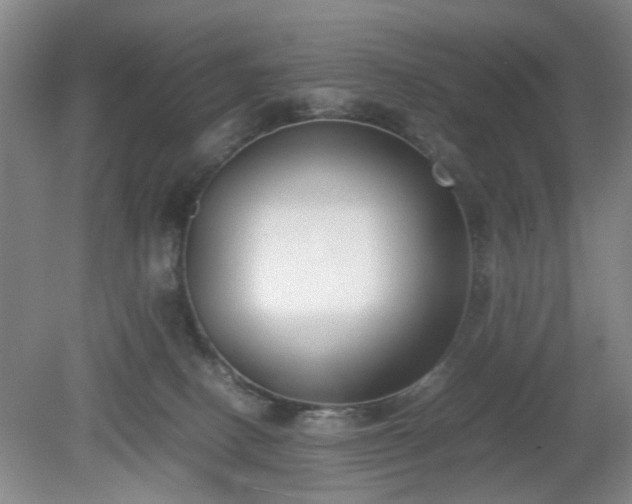 X0000078880082200611201422