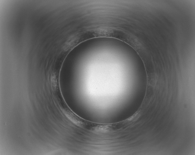 X0000078880086200611201422