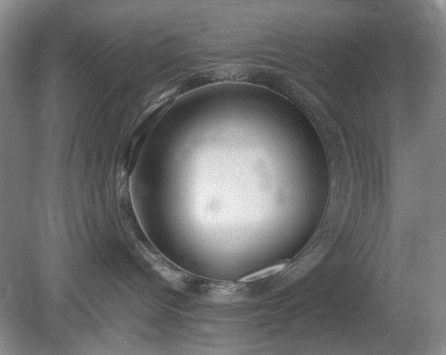 X0000078880096200611201422