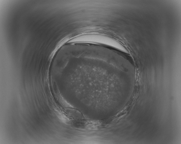 X0000078880099200611201421