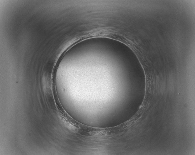 X0000078880100200611201421