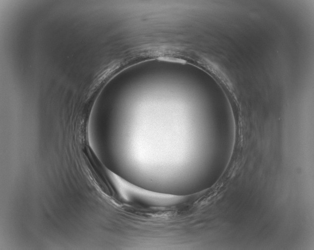X0000078880105200611201421