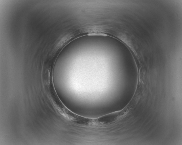 X0000078880109200611201421