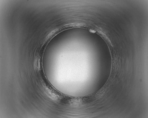 X0000078880110200611201421