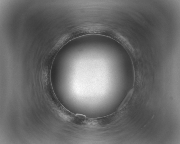 X0000078880113200611201421