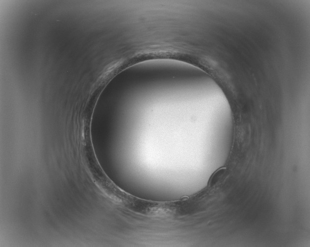 X0000078880115200611201421