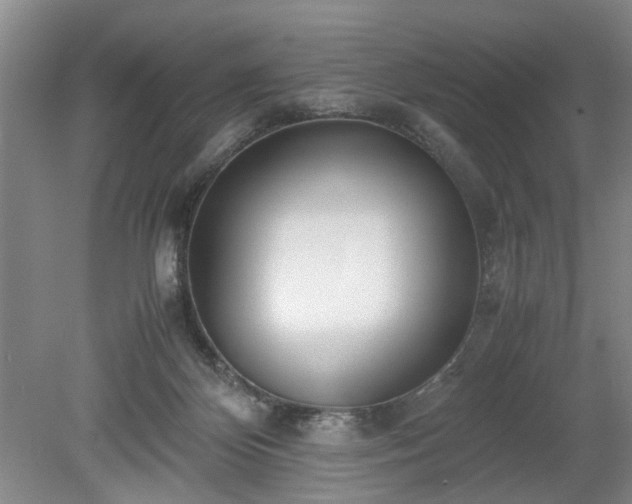 X0000078880124200611201421