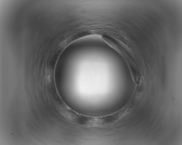 X0000078880125200611201421
