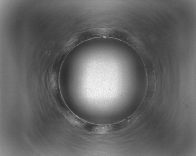 X0000078880131200611201420
