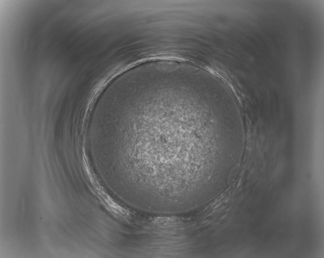 X0000078880145200611201419