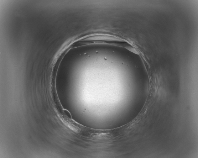 X0000078880151200611201419
