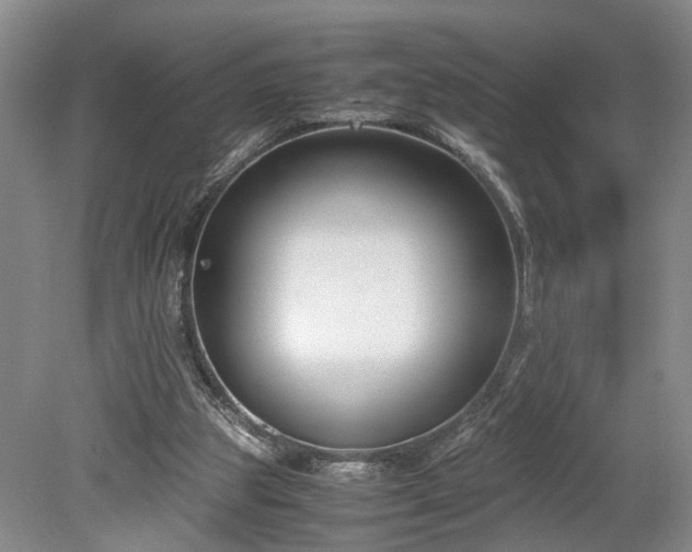X0000078880153200611201420
