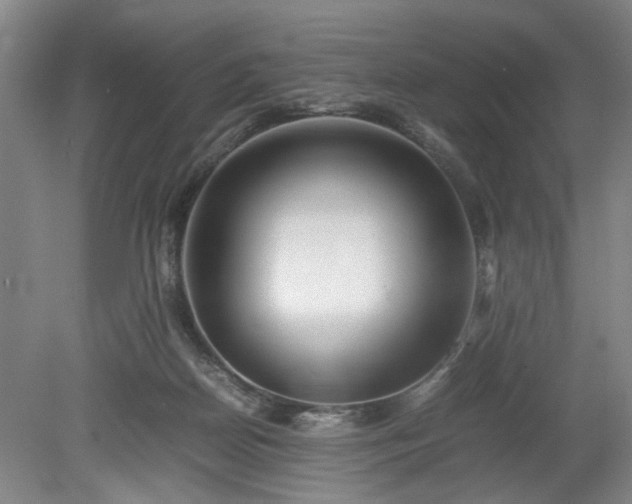X0000078880170200611201420