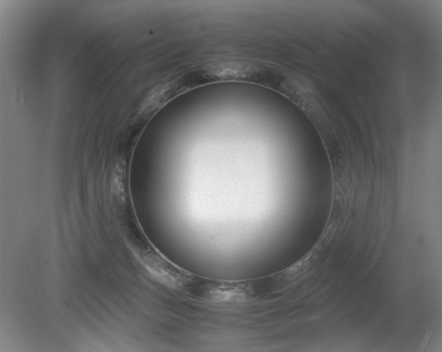 X0000078880175200611201420