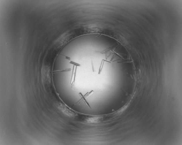X0000078880178200611201420