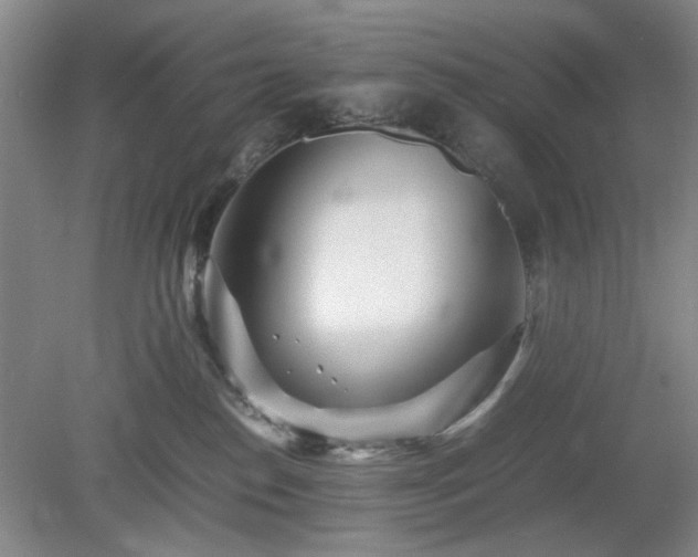 X0000078880186200611201420