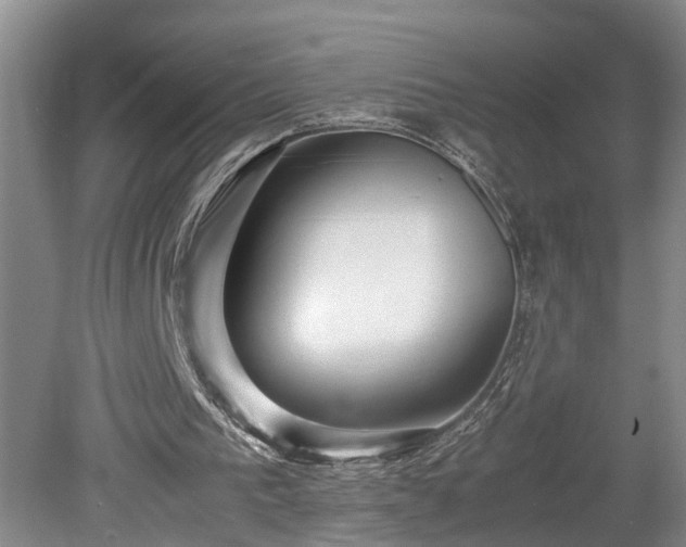 X0000078880193200611201419