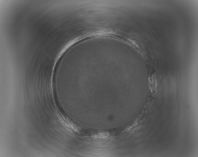 X0000078880196200611201419
