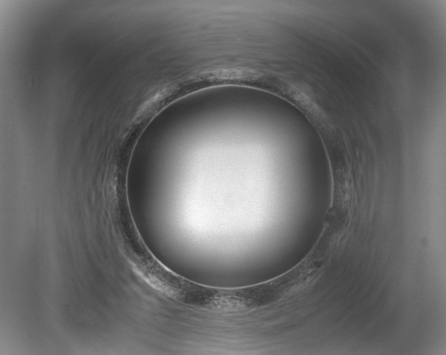 X0000078880207200611201419