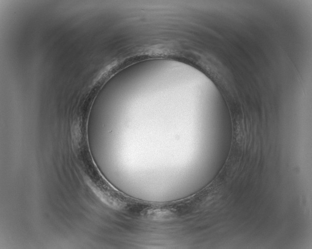 X0000078880208200611201419