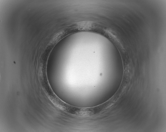 X0000078880209200611201419