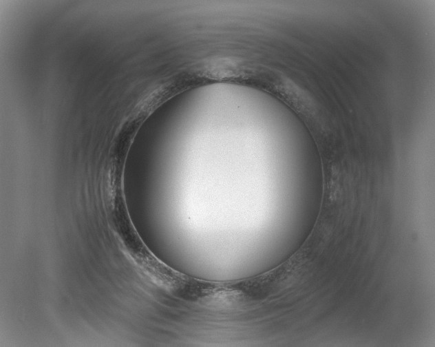 X0000078880210200611201419