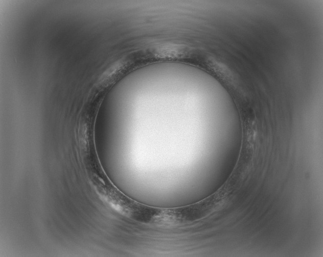 X0000078880211200611201419