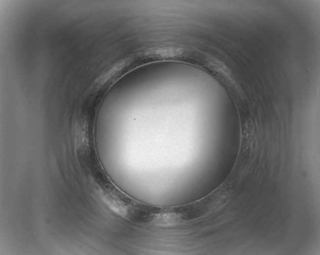 X0000078880212200611201419