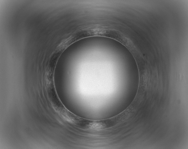 X0000078880218200611201419